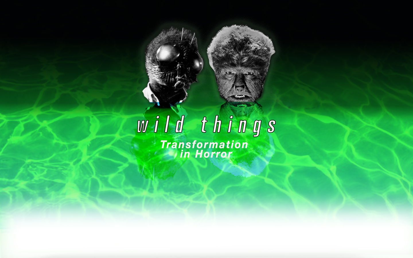 Wild Things: Transformation in Horror (Overview)